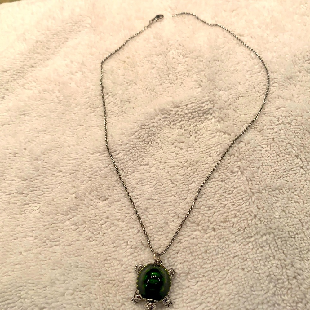 Turtle necklace